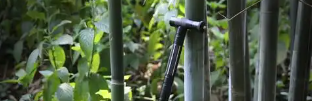 4001百老汇·(中国)有限公司官网