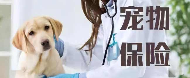 4001百老汇·(中国)有限公司官网