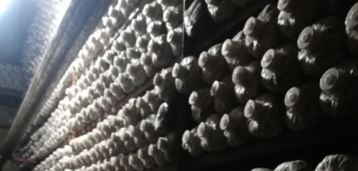 4001百老汇·(中国)有限公司官网