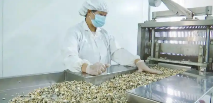 4001百老汇·(中国)有限公司官网